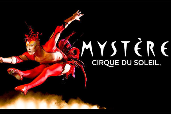 Mystere 쇼
